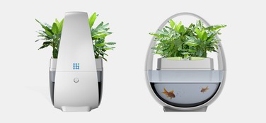 蓝布生态鱼缸 无需换水的智能水族新体验与品牌创新之路